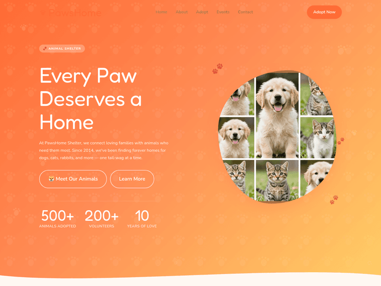 animal-shelter-playful-website-template